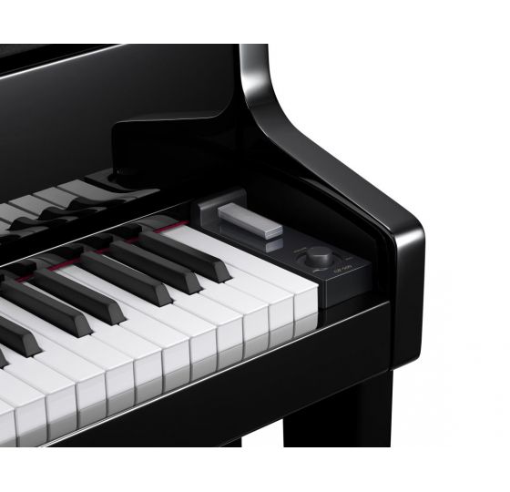 PIANO ĐIỆN CASIO GP - 500BP